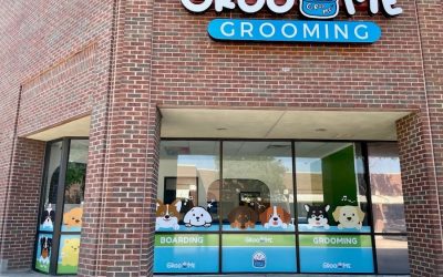 Groome Grooming