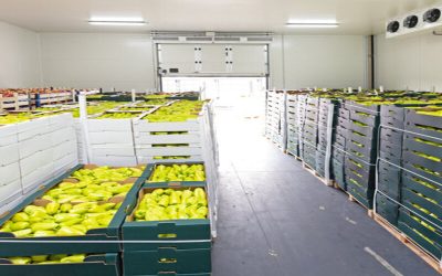 Meat and Potatoes Organizing